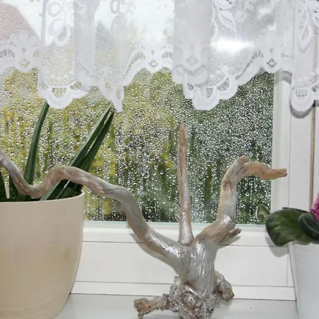 Ferien Oase Am Ber Lägenhet