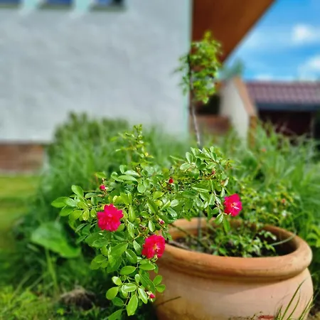 Ferien Oase Am Ber Apartment Schoenefeld