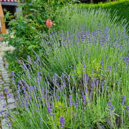 Ferien Oase Am Ber Lägenhet